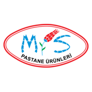 naycll Logo PNG Vector