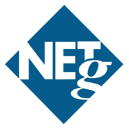 NETg Logo PNG Vector