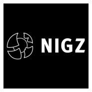 NIGZ Logo PNG Vector